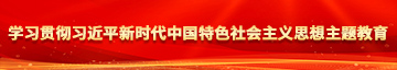 假屌电影学习贯彻习近平新时代中国特色社会主义思想主题教育